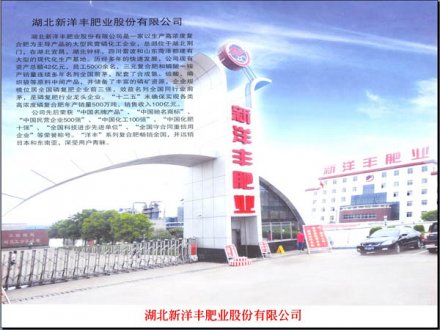 湖北新洋豐肥業